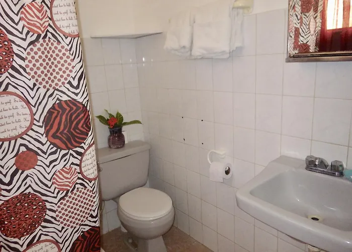 Deluxe Kamer met een Queen Size Bed