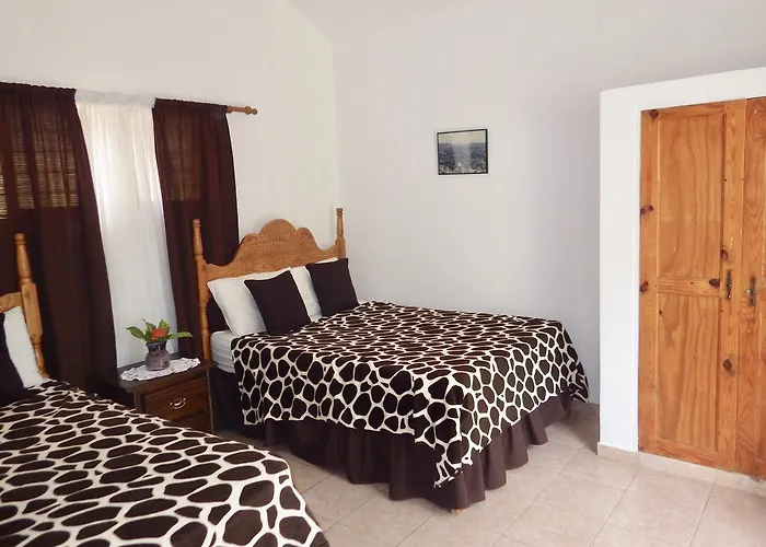 Deluxe Kamer met een Queen Size Bed